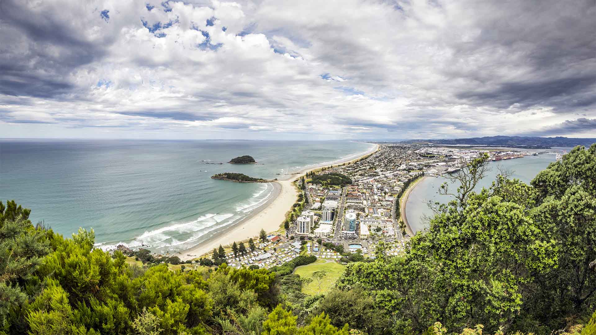 Bay Of Plenty New Zeand.jpg