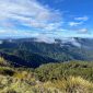Discovering Waikato New Zealand