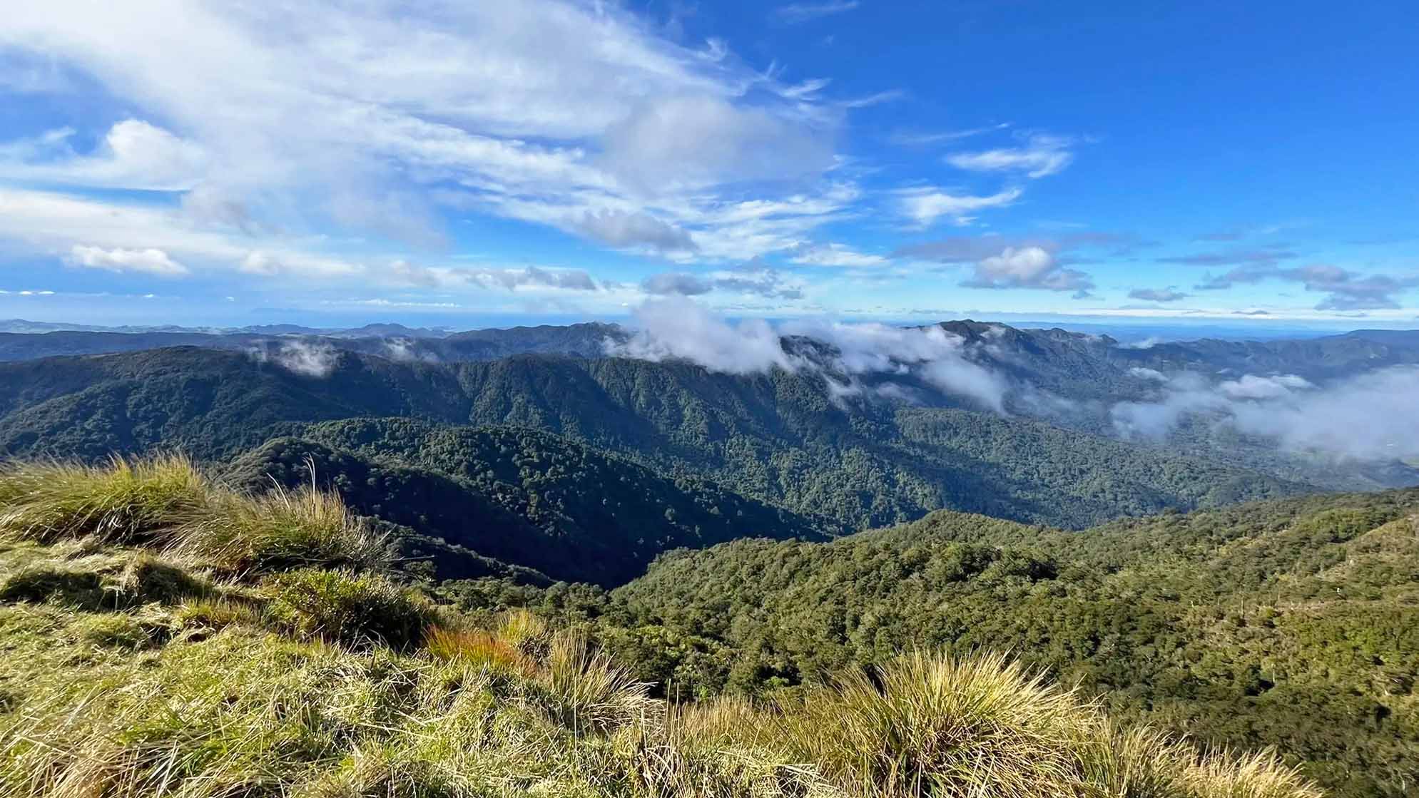 Discovering Waikato New Zealand