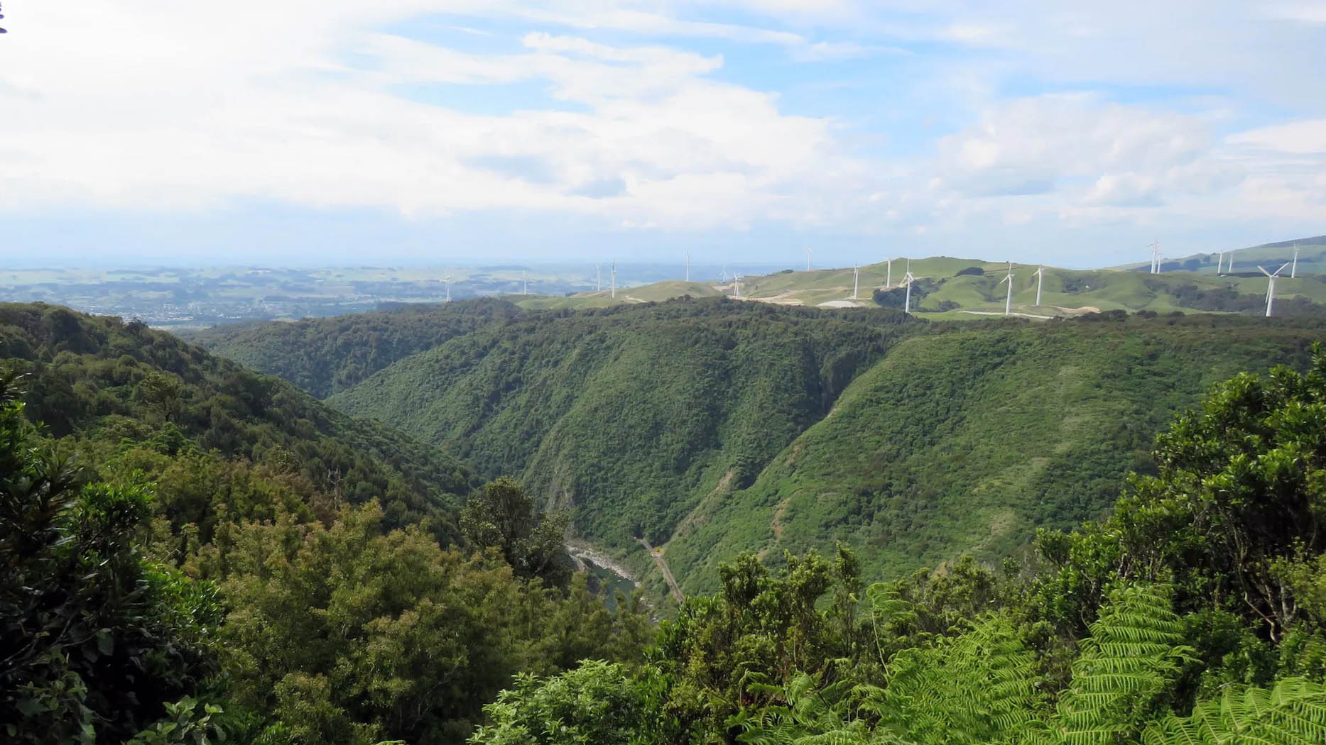 Manawhatu New Zealand