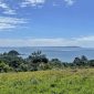 Tiritiri Matangi Auckland New Zealand