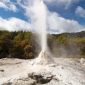 Discover the Beauty of Lady Knox Geyser Rotorua