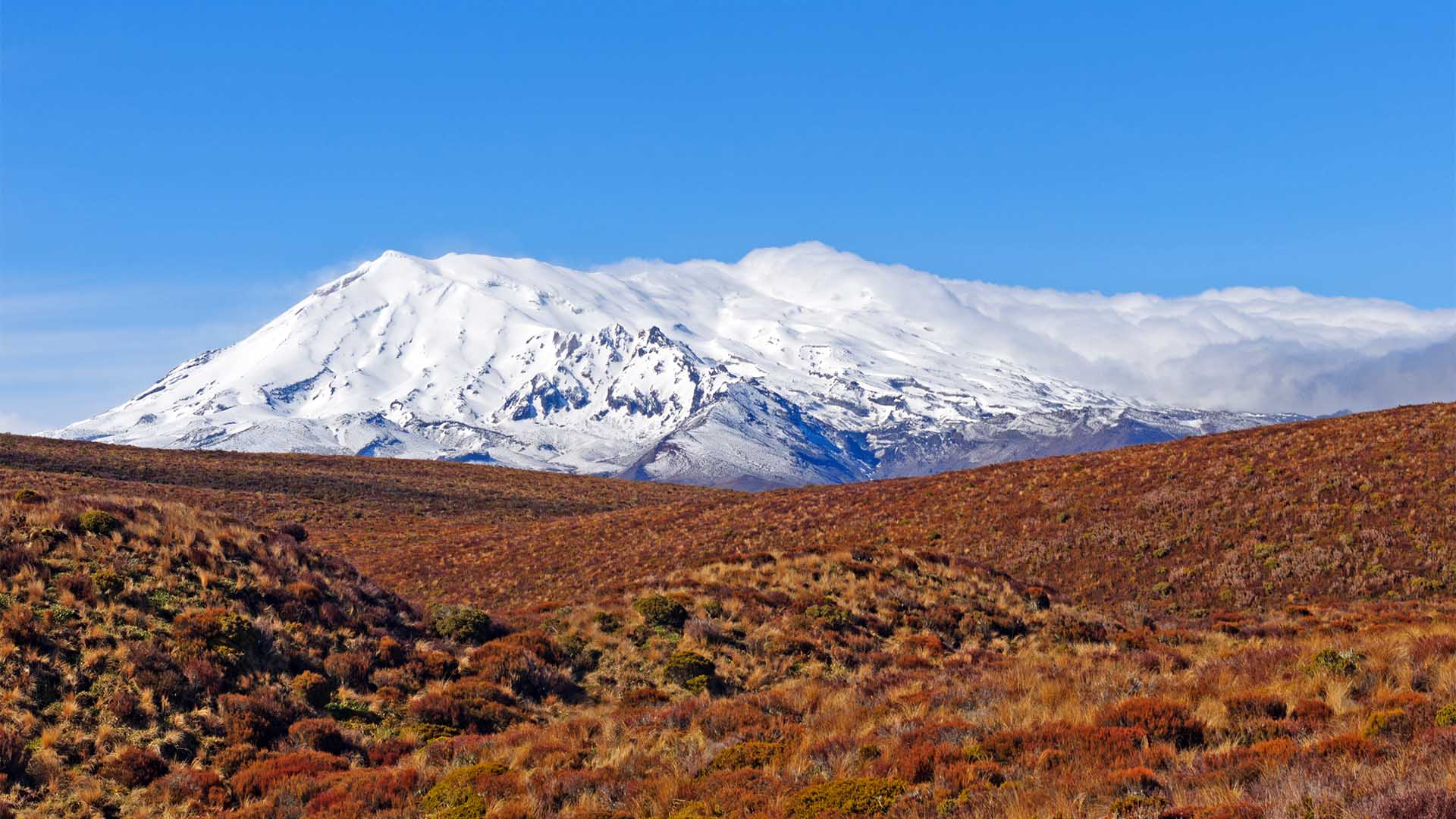 New Zealand Skiing