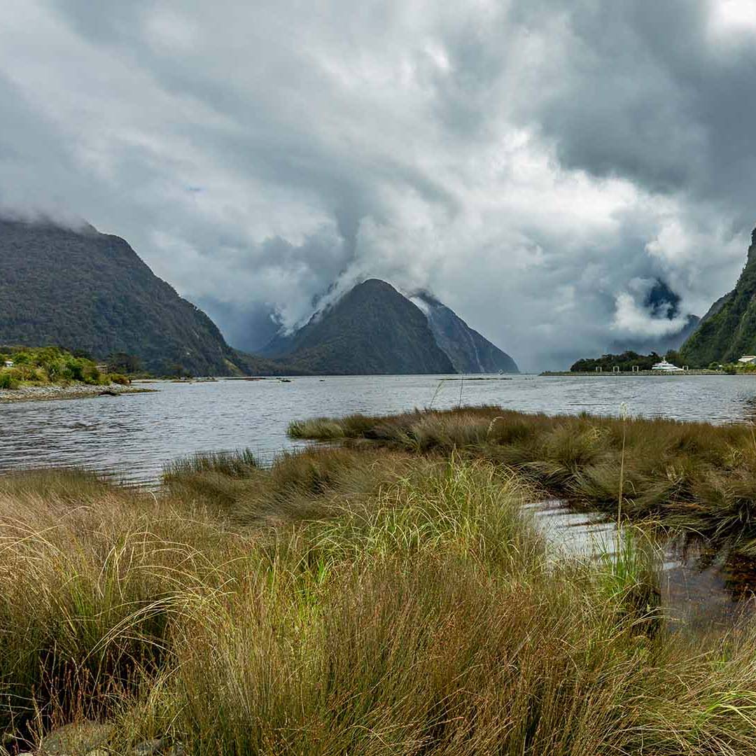 Milford Sound Soth Island New Zealand