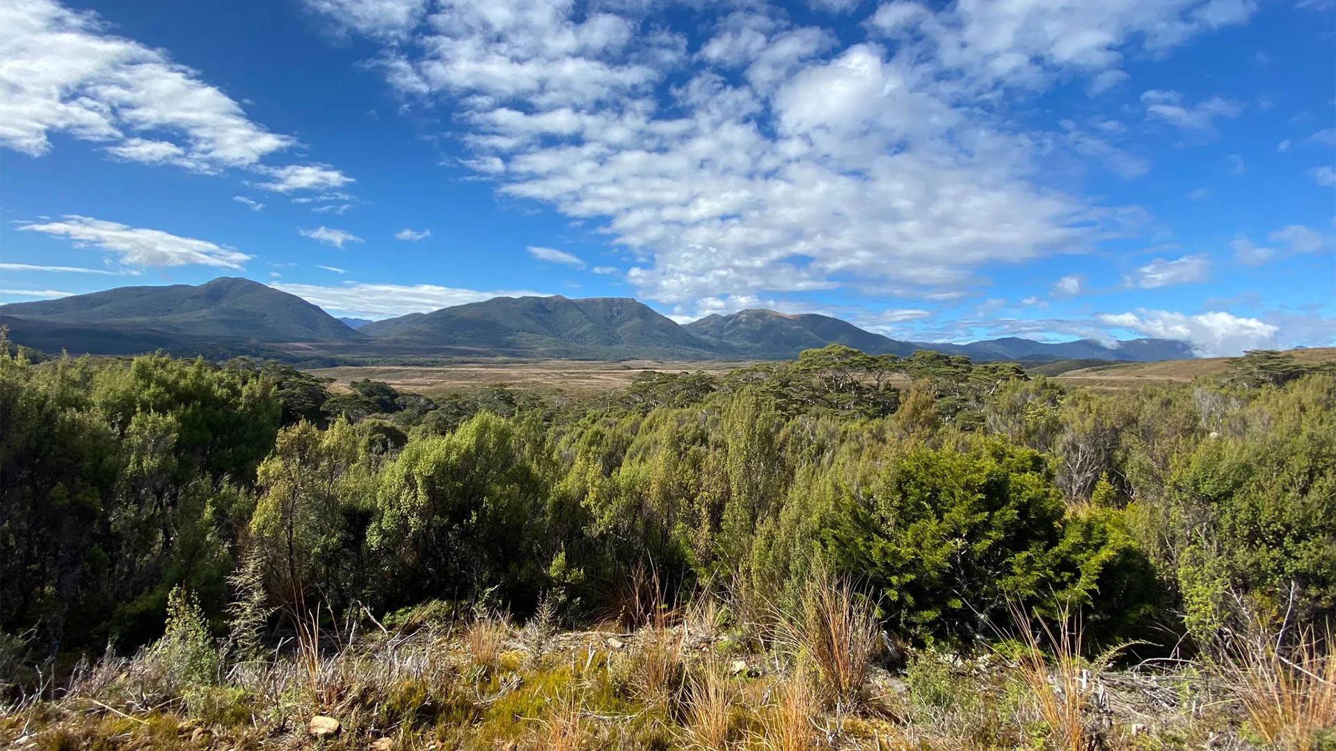 Heaphy Track