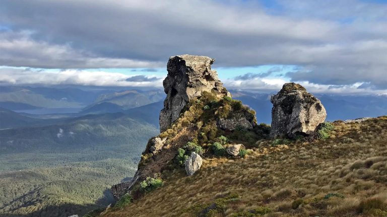 Hump Ridge Track