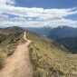 Kepler Track