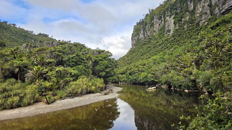 Exploring the Paparoa Track: A Journey through New Zealand’s Wilderness