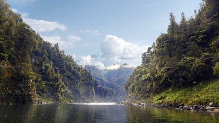 Whanganui river journey