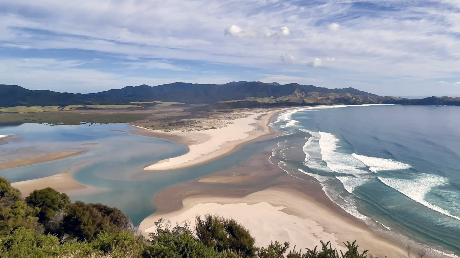 Great Barrier Island New Zealand