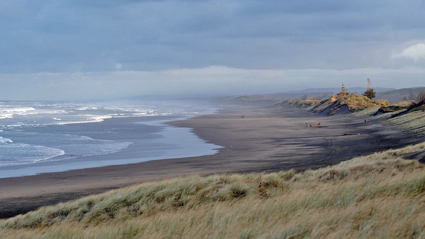 Muriwai Beach Auckland New Zealand