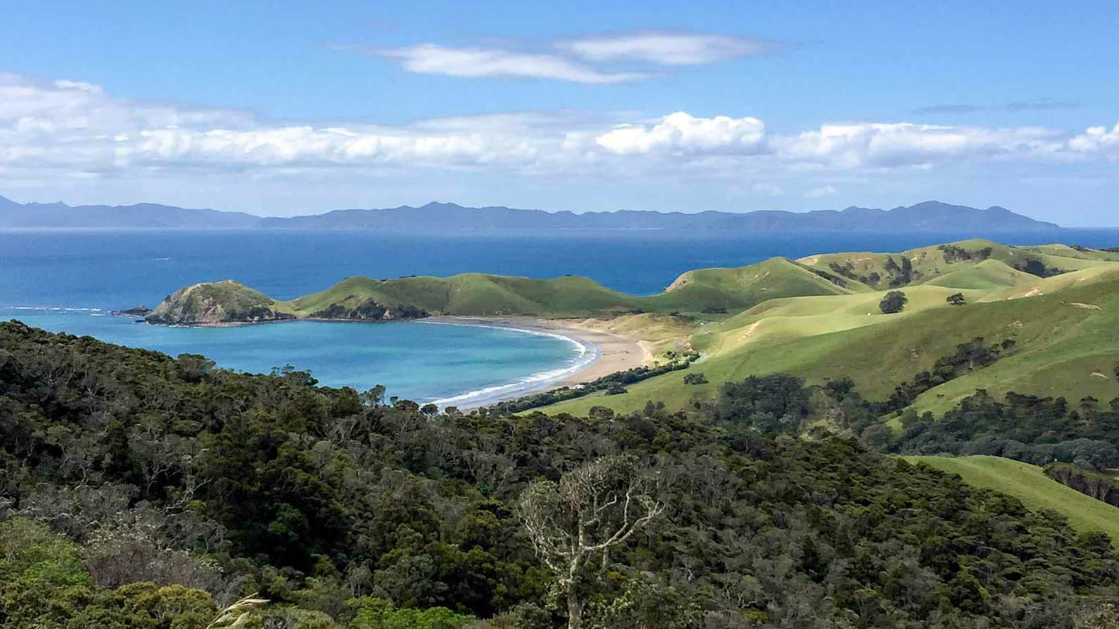 Port Jackson