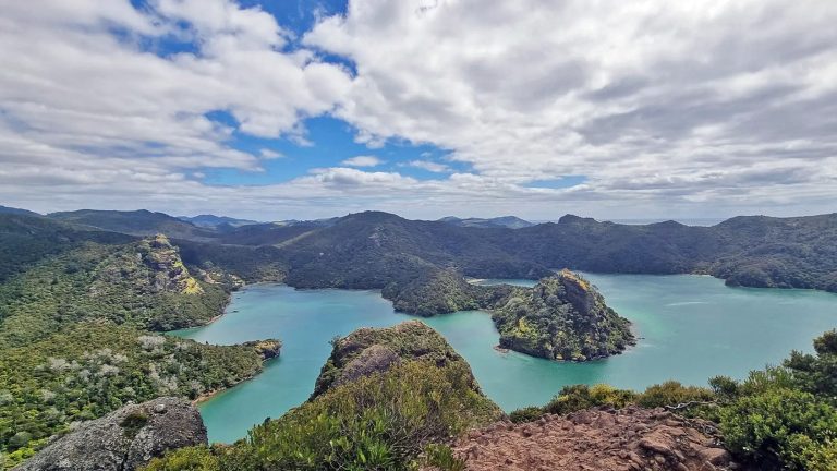Whangaroa Harbour New Zealand