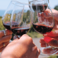 Waiheke Wine Tours