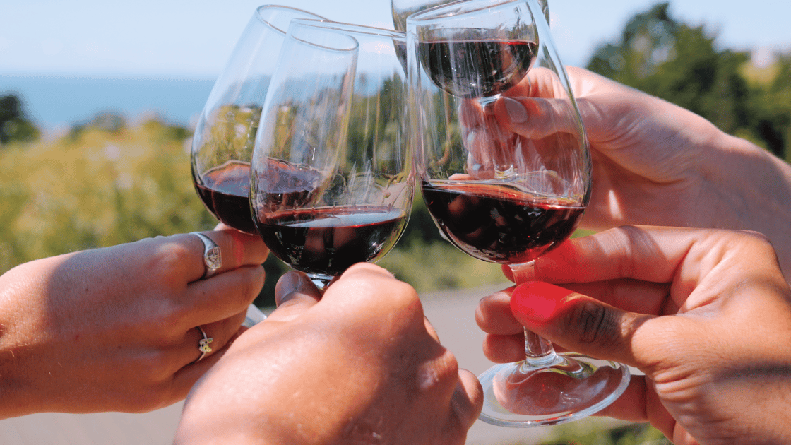 Waiheke Wine Tours