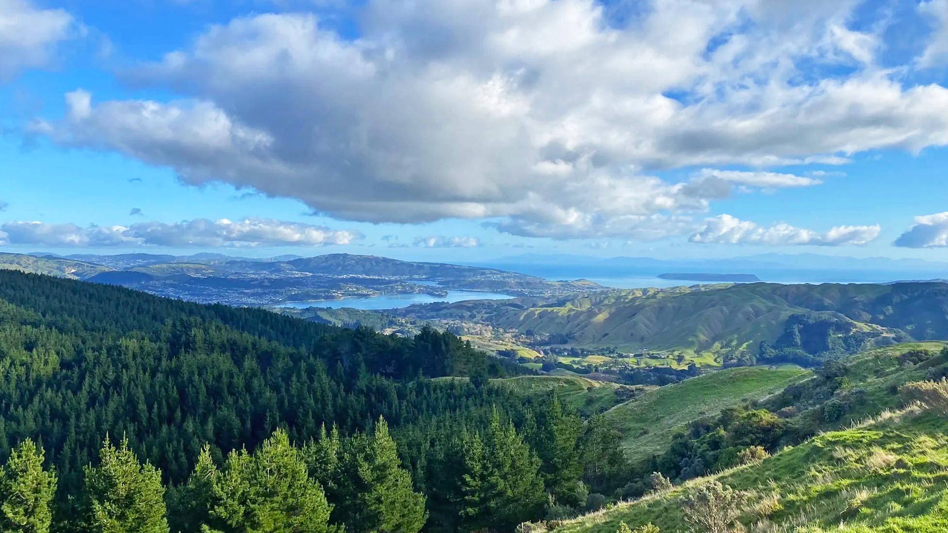 Battle Hill Farm Forest Park Wellington: A Hidden Gem in New Zealand