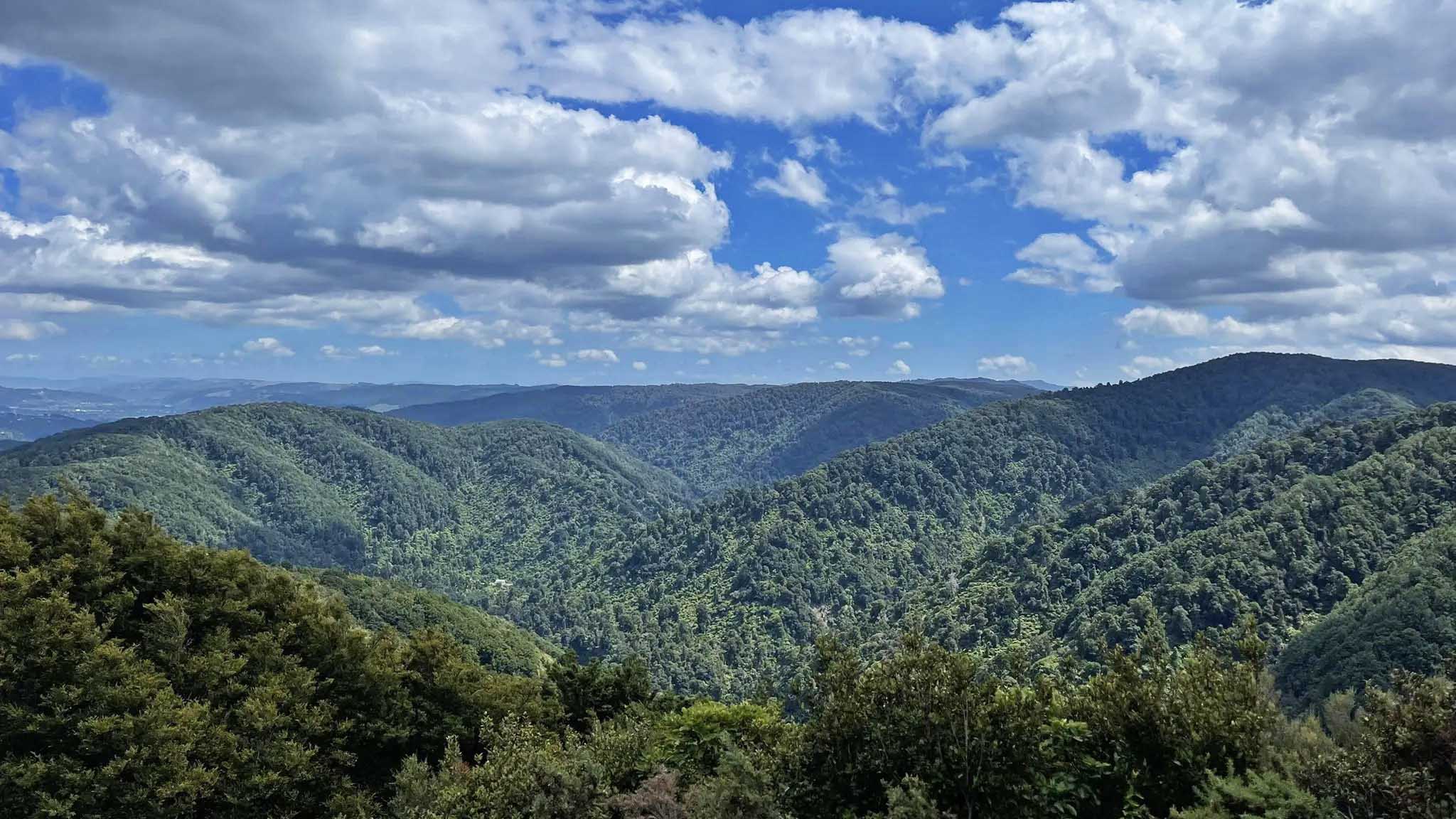 Kaitoke Regional Park