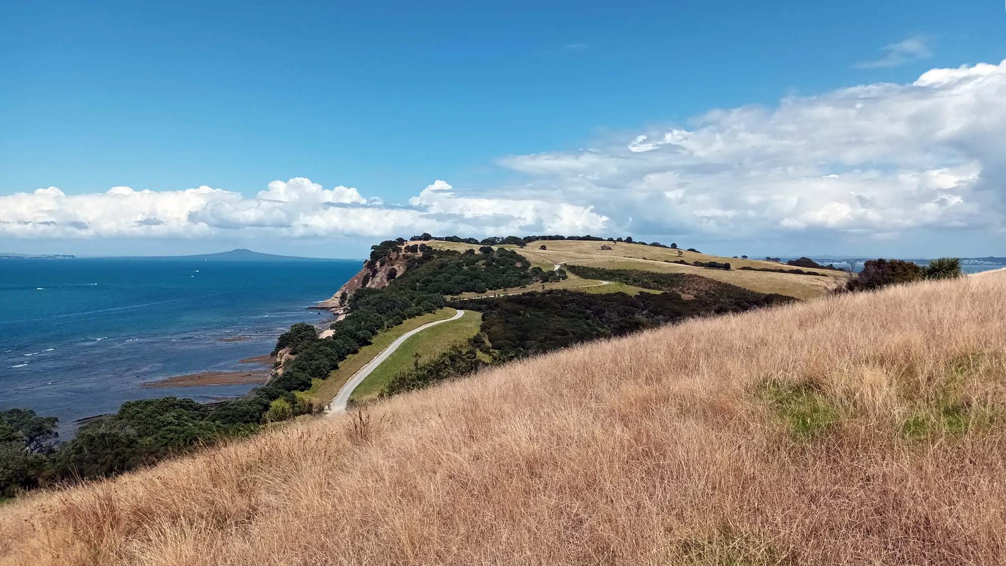 Shakespear Regional Park New Zealand