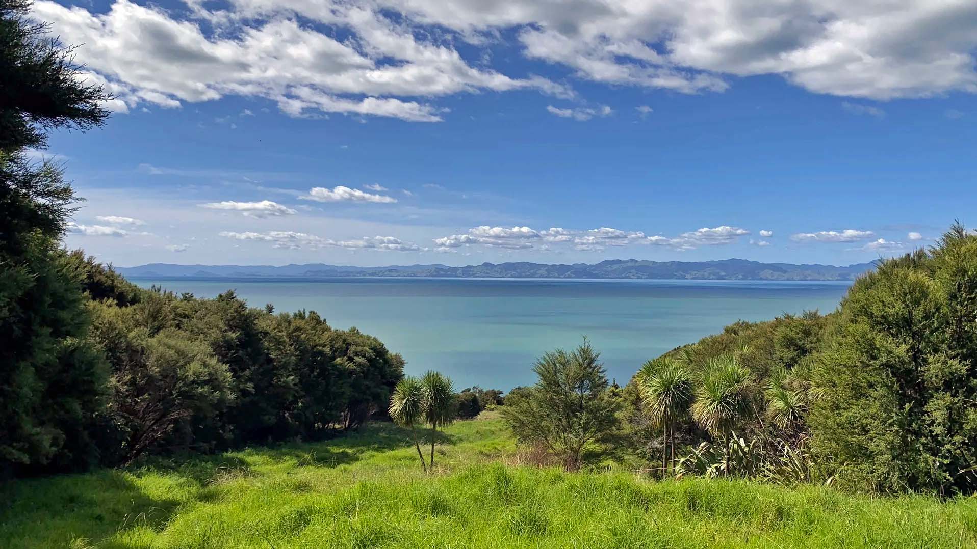 Tāpapakanga Regional Park New Zealand