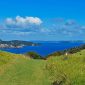Tāwharanui Regional Park New Zealand