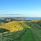 Te Muri Regional Park New Zealand