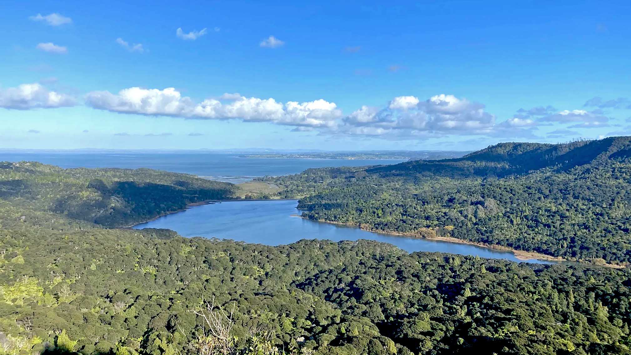Waitakere Ranges Regional Park New Zealand