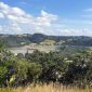 Wenderholm Regional Park New Zealand