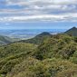 The Majestic Beauty of Mount Pirongia 85x85