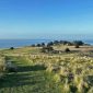 Godley Head Kaikoura