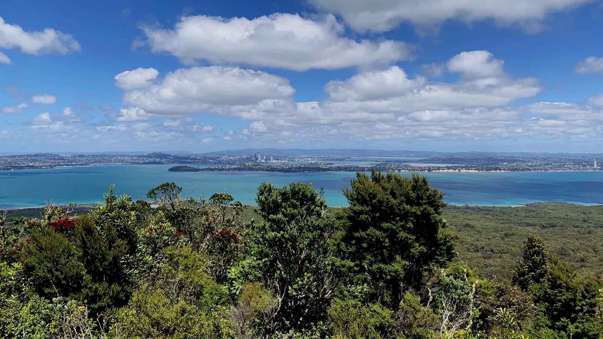 Rangitoto Island Auckland New Zealand