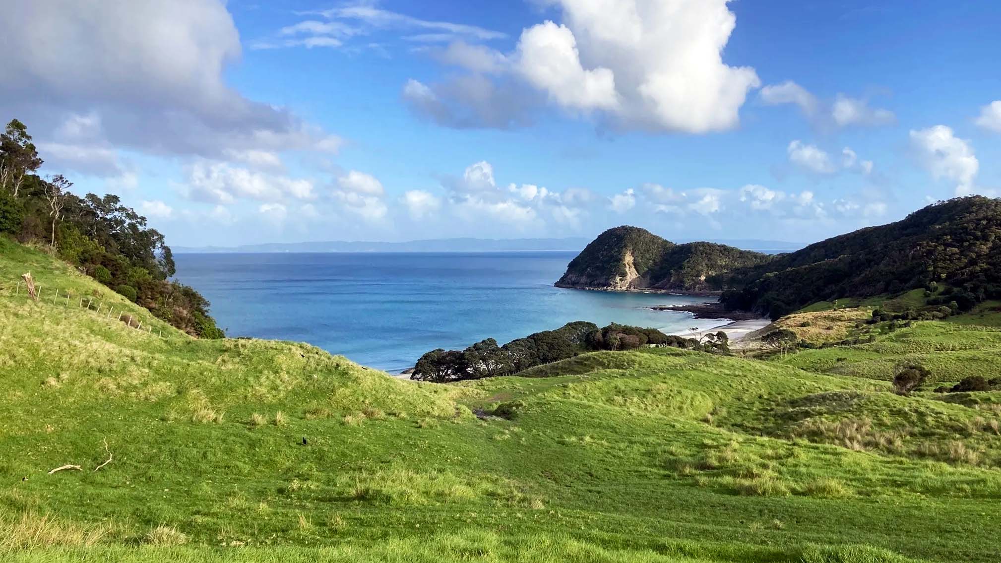 Smugglers Bay Northland New Zealand