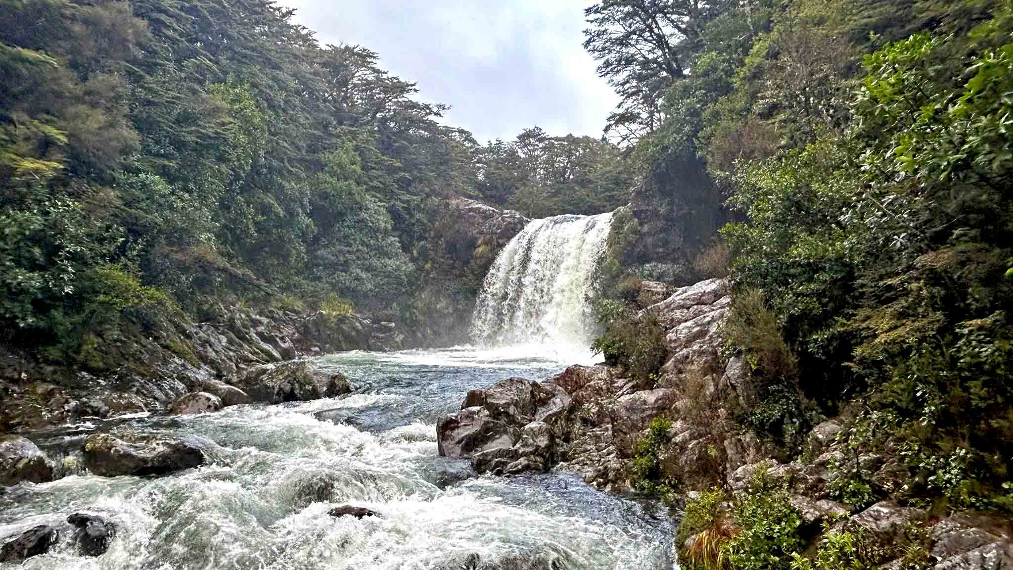 Tawhai Falls